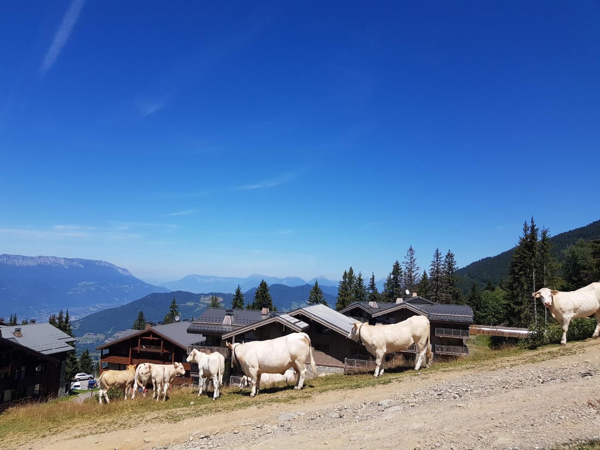 les 7laux immobilier chalet E Prapoutel Extérieur photo